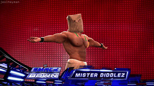 TheDiddler